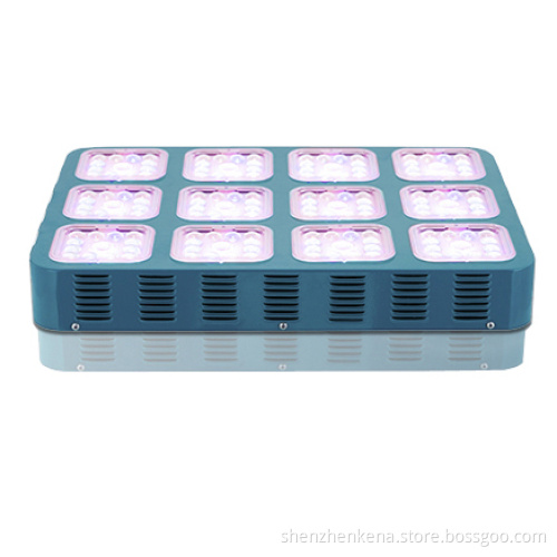 LED Grow Light for Greenhouse Induction Grow Light for Fruit Flower and Grow Light LED in Shenzhen